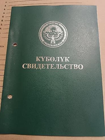 Земельные участки: 1600 соток, Для сельского хозяйства — 1