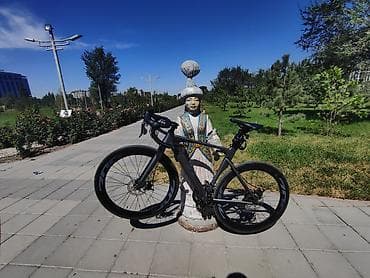 релс диска: Шоссейный велосипед, Рама L (172 - 185 см), Б/у — 1