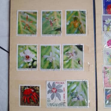 Марки Альбом Почтовых Марок . Продам Недорого Альбом Ярких at lalafo.kg Марки Альбом Почтовых Марок . Продам Недорого Альбом Ярких