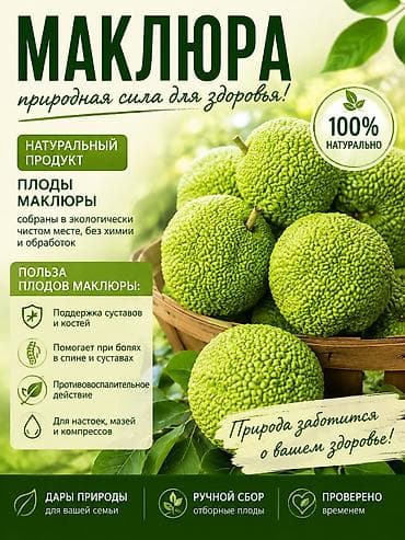 манго турция: Плоды Адамово яблоко,маклюра. Бишкек — 1