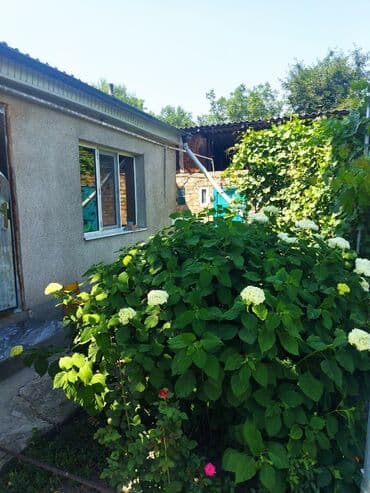 продаю дом в селе красная речка: Үй, 62 кв. м, 4 бөлмө, Менчик ээси, Косметикалык оңдоо — 2