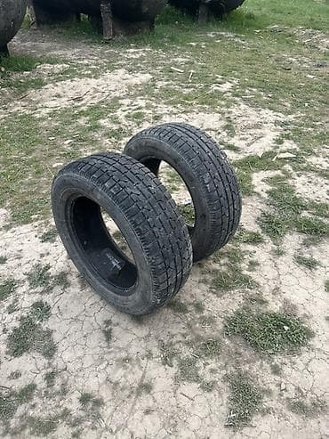 tesla pi: Шины R 15, Зима, Новый, Пара, Легковые, AMTEL — 2