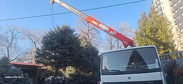леса продаю: Услуги автокрана-манипулятора (крана-борта) для погрузки, перевозки и — 2