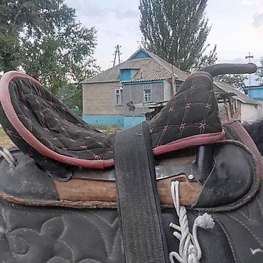 собака афчарка: Кавказское седло с мягкими подушками - Тип: традиционное кавказское — 1