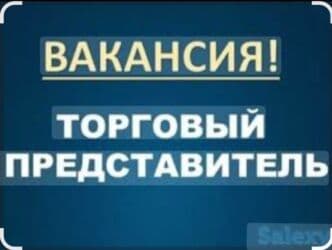 вакансии в бишкеке без опыта работы: В компанию требуется Торговый Агент с личным авто, по Ыссык-Кульскому — 1