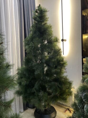 магнолия дерево: Продается елка в отличном состоянии. Только без подставки. Размер — 1