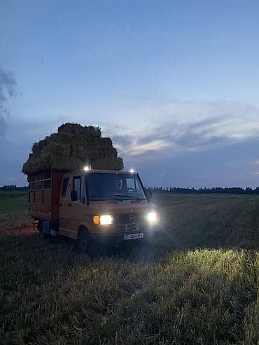 mercedesbenz унаа: Жүк ташуучу унаа, Mercedes-Benz, Дубль, 4 т, Колдонулган — 2