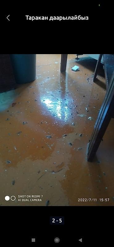 мойка ковров ак орго: Дезинфекция дезинфекция дезинфекция дезинфекция дезинфекция Таракан — 4