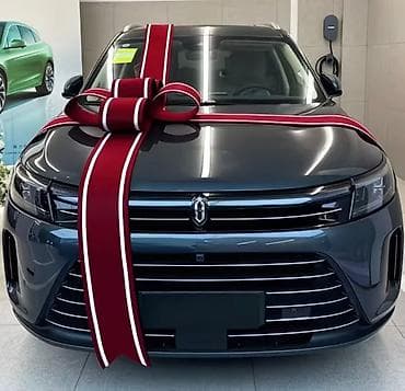 deco mesh: Аренда и продажа автомобильных бантов - Премиум‑качество - Подходят — 2