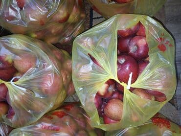 куплю малину оптом: Яблоки Оптом — 1