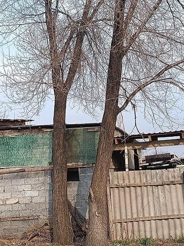 реставрация румынской мебели: Продаю карагач — 1