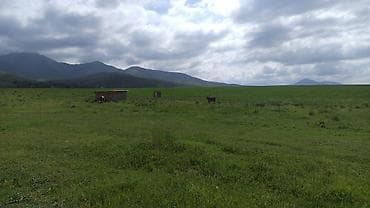 купить дом 200 кв м: 10 соток, Для строительства, Красная книга — 7