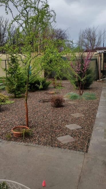 сдаю дом новопакровка: Дом, 90 м², 7 комнат, Собственник, Косметический ремонт — 10