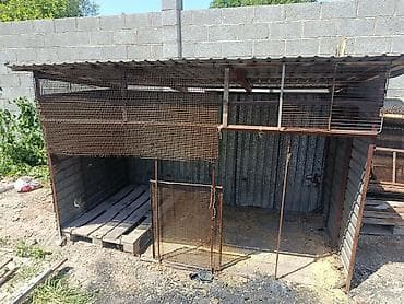 ящик пчёл: Вольер Для Собаки или под курятник можно — 1