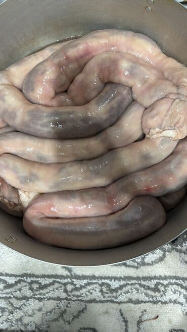 бытовая техника купить: Быжыга заказ алам — 1