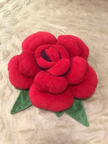 пуховая подушка: Подушки 
Одна большая, одна маленькая — 3