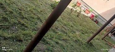 работы охраны: Уборка территории — 9