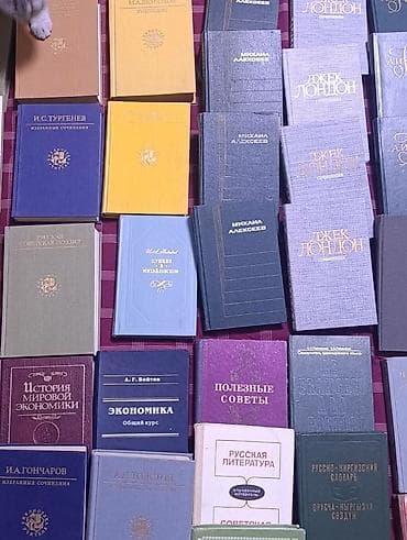 local guide program: Коллекция книг на русском языке — художественная классика — 4