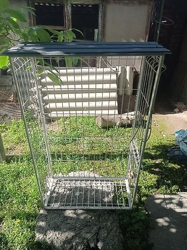 сетка для окн: Антикошка Балкончик для котов и животных Крепится на рамме окна сделан — 1