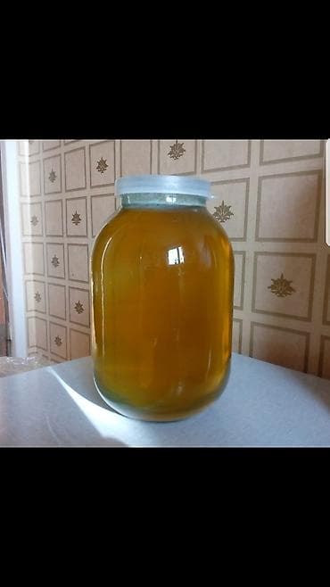 Продукты питания: МЁД продаю цветочный натуральный! Есть вопросы звоните все расскажу! — 1
