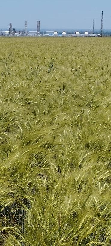 продам гараж: 400 соток — 2