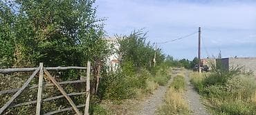 6 соток, Бизнес үчүн, Кызыл китеп lalafo.kg да 6 соток, Бизнес үчүн, Кызыл китеп