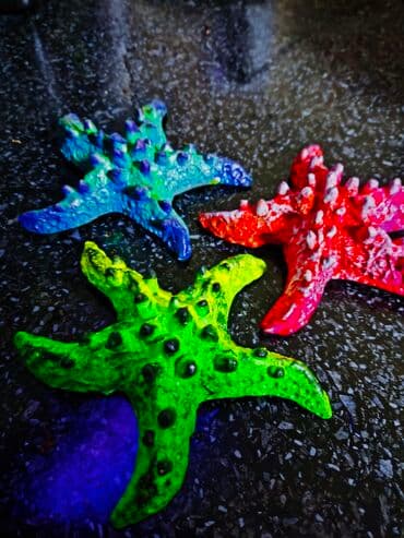 акустические системы atlanfa колонка в виде собак: 🌿 Украшения и декорации для аквариумов и террариумов 🌿 Продаю — 6