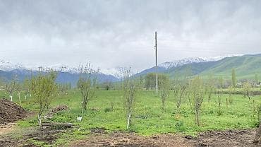 ата журт п: Продаётся участок с домом и хозяйственными постройками в живописном — 6