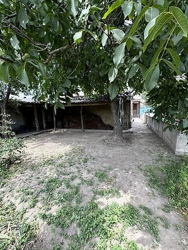 Недвижимость: 📌В селе Беловодское срочно продаётся дом на участке 6,8 соток — 3