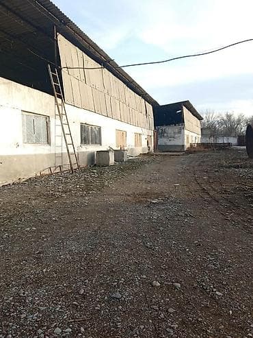 село петровка: Продается производственная база с фермой свинарником — 6