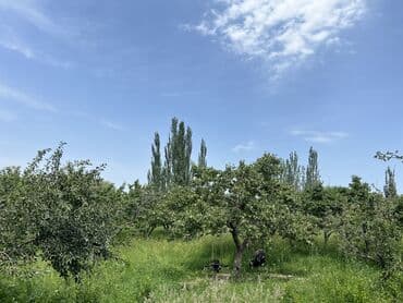 продажа дома в караколе: Дача, 141 м², 7 комнат, Собственник, ПСО (под самоотделку) — 5