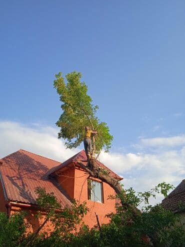 кресло барбер: Профессионально оперативно быстро спил любой сложности. Без выходных — 15