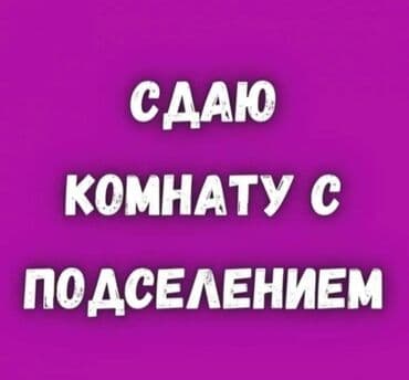 село бактуу долоноту: 1 бөлмө — 1