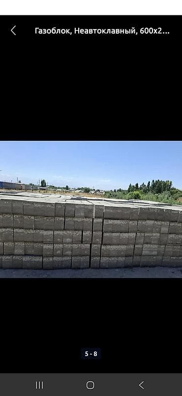 апарат для пенаблок: Газоблок, Неавтоклавный, 600x200x300, D600 — 2