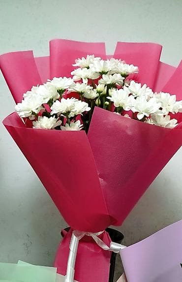 бумага рулонная: Бумага, Новый — 8