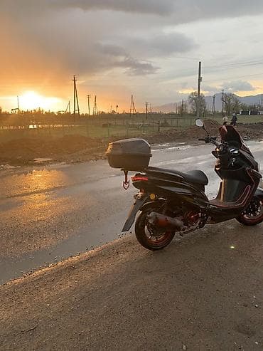 скулер: Скутер/мопед городского типа, черный с красными акцентами — 3