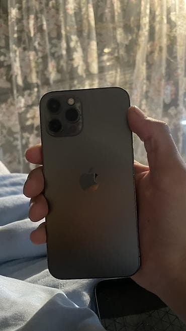 IPhone 12 Pro, Графит