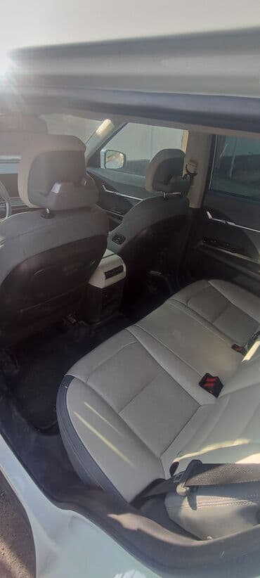 крыло нексия 2: Weltmeister 2024 г., 24000 км, Алдыңкы, Бар — 4