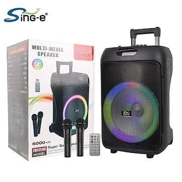 пле: Портативная акустическая система Sing-e ZQS12148 - Динамик 12" с — 1