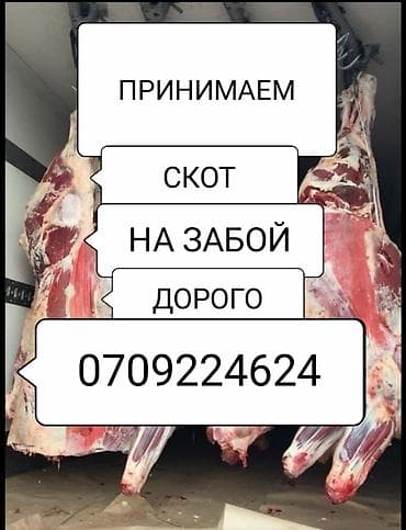 В Колбасный цех 
Заберем сами