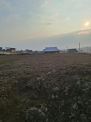 фон для студии: 8 соток, Красная книга — 3