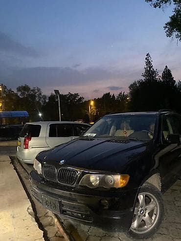 ман 2000: BMW X5: 2001 г., 4.4 л, Автомат, Кроссовер — 1