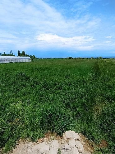 участок в селе маевка: 10 соток, Для бизнеса, Красная книга — 1