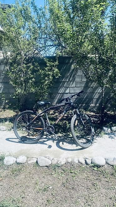 harley benton: Горный велосипед, Сталь — 2