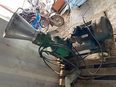 Услуги ветеринара: Продаю | Бык (самец) — 2