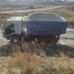 продажа щенков немецкой овчарки в бишкеке с документами: Жом с доставкой на дом беловодский Петровка садовый свежий кызыл туу — 10