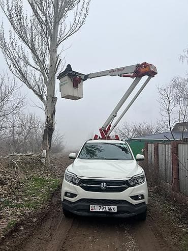 iphone 13mini: 🚚 АВТОВЫШКА В АРЕНДУ | БИШКЕК И ПРИГОРОД 🚚 Предлагаем услуги — 1