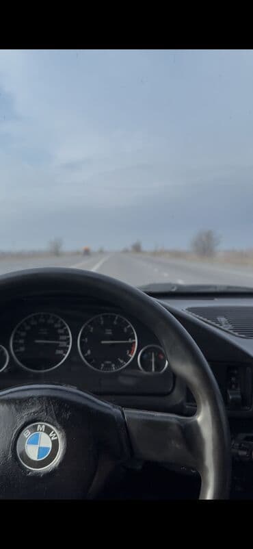 Водный транспорт: BMW 520: 1991 г., 3 л, Седан — 8