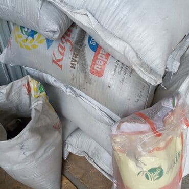 аквариум балык: Беде урук сатабыз келишим баада анализден откон 99%чыгышына кепилдик — 2