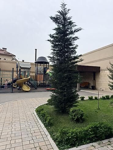 баят квартиры: 1 комната — 10